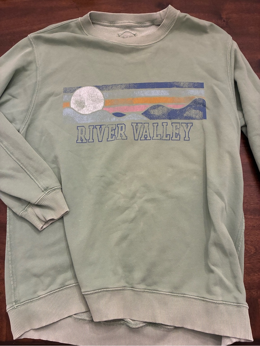 Aerie Crewneck Sweatshirt Medium Graphic River Valley Green tiny stains